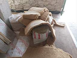 coom_10020930.jpg