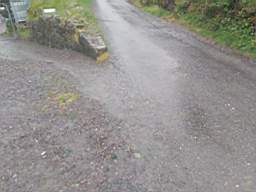 coom_10021070.jpg