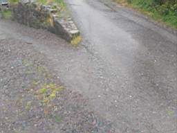 coom_10021080.jpg
