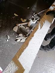 coom_10021210.jpg