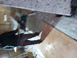 coom_10021280.jpg