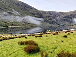 coom_10021380.jpg