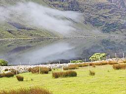 coom_10021390.jpg