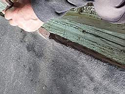 coom_10021400.jpg