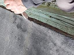 coom_10021410.jpg