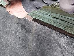 coom_10021420.jpg