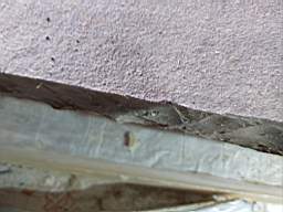 coom_10021470.jpg