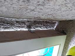 coom_10021540.jpg