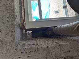 coom_10021580.jpg