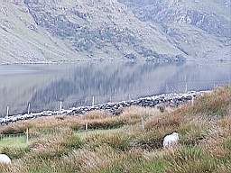 coom_10022210.jpg