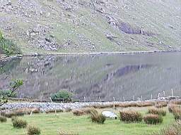 coom_10022220.jpg