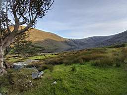 coom_10022230.jpg