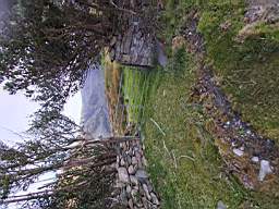 coom_10022240.jpg
