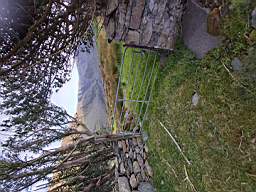 coom_10022250.jpg