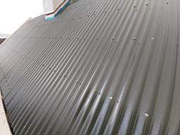 coom_10022580.jpg