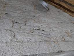 coom_10022800.jpg