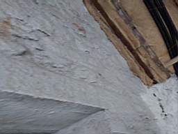 coom_10022820.jpg