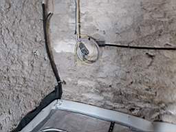 coom_10022870.jpg