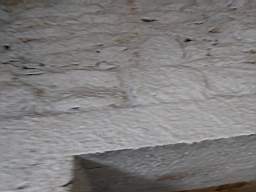 coom_10022900.jpg