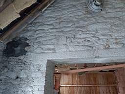 coom_10022930.jpg