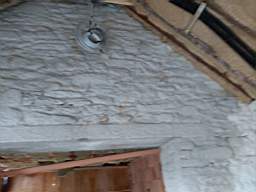 coom_10022940.jpg