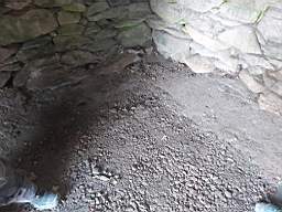 coom_10023060.jpg