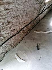 coom_10023070.jpg