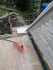 coom_10023270.jpg