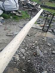 coom_10023310.jpg