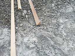 coom_10023340.jpg
