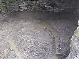 coom_10023550.jpg