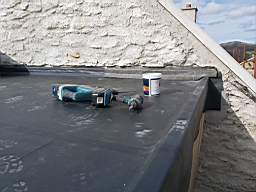 coom_10023580.jpg