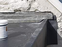 coom_10023590.jpg