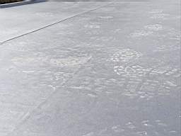 coom_10023600.jpg