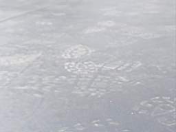 coom_10023620.jpg