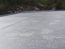 coom_10023630.jpg