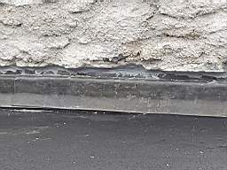 coom_10023700.jpg