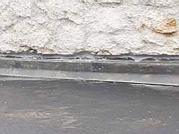coom_10023710.jpg