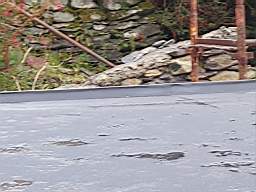 coom_10023730.jpg