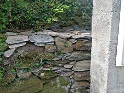 coom_10023900.jpg