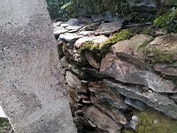 coom_10023920.jpg