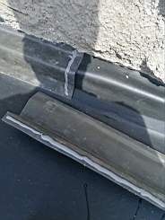 coom_10024250.jpg