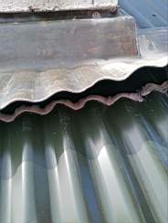 coom_10024310.jpg