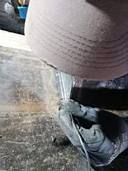 coom_10024360.jpg