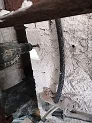 coom_10024510.jpg