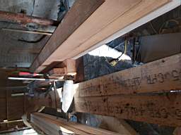 coom_10024730.jpg
