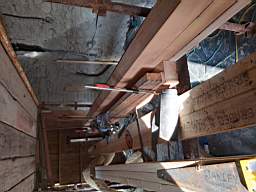 coom_10024740.jpg