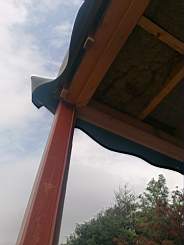 coom_10024930.jpg