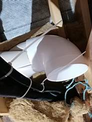coom_10024950.jpg
