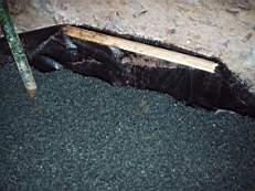 CROBALLY 015.jpg